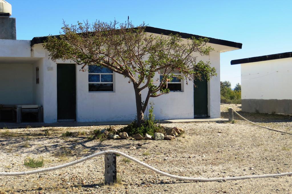 Bahia Bustamante Lodge Номер фото